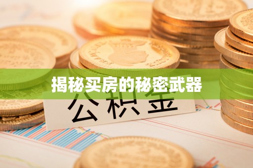 云浮揭秘买房的秘密武器